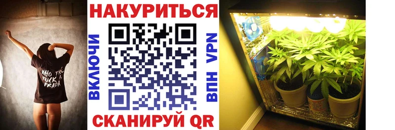 Каннабис семена  Купить  Кизел 