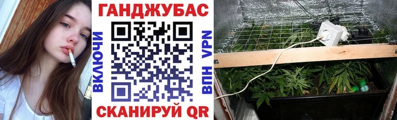 Шишки марихуана гибрид Кизел